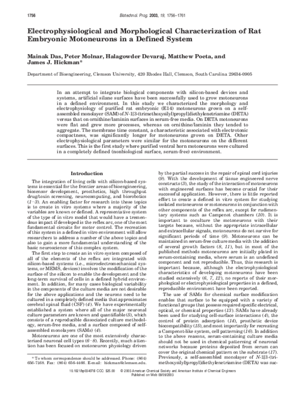 (PDF) Electrophysiological and Morphological Characterization of Rat ...