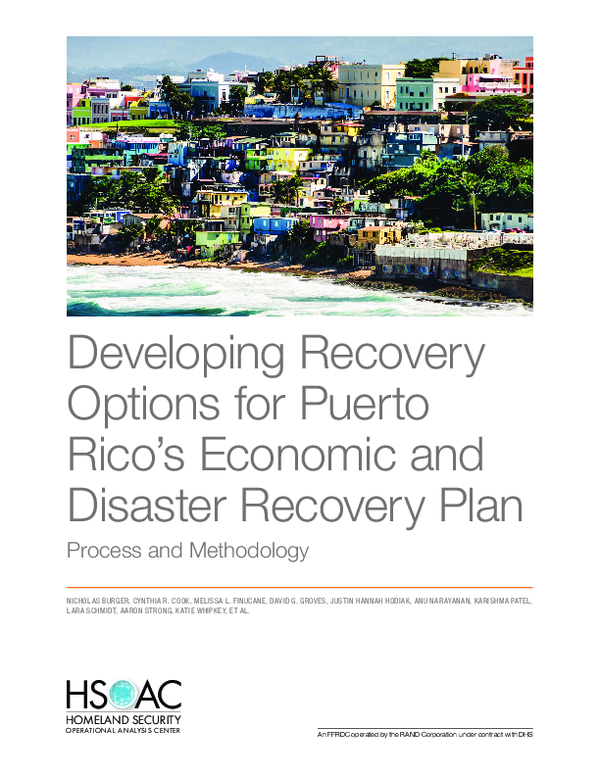 (PDF) Developing Recovery Options for Puerto Rico's Economic and ...