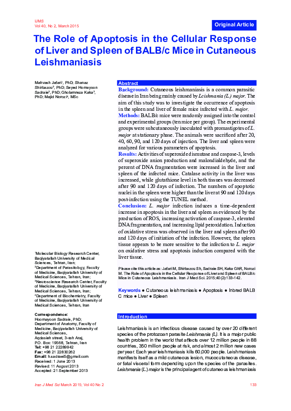 (PDF) The role of apoptosis in the cellular response of liver and ...