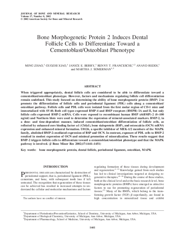 (PDF) Bone Morphogenetic Protein 2 Induces Dental Follicle Cells to ...