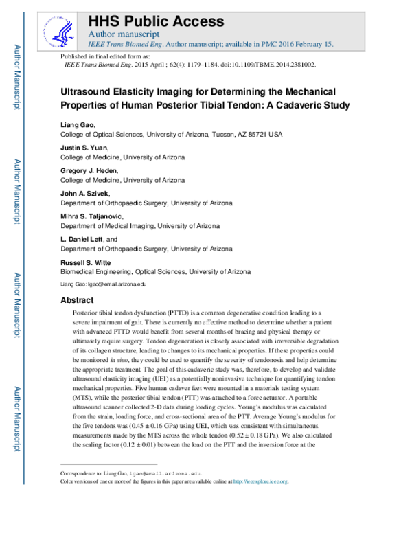 (PDF) Ultrasound Elasticity Imaging for Determining the Mechanical ...