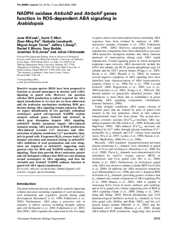 (PDF) NADPH oxidase AtrbohD and AtrbohF genes function in ROS-dependent ...