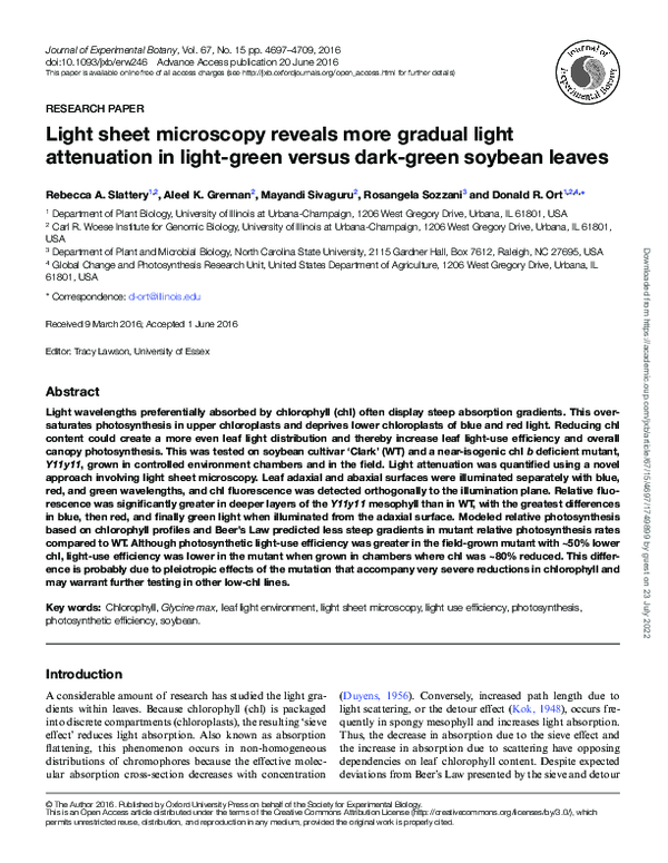 (PDF) Light sheet microscopy reveals more gradual light attenuation in ...