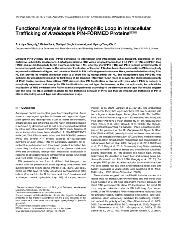 (PDF) Functional Analysis of the Hydrophilic Loop in Intracellular ...