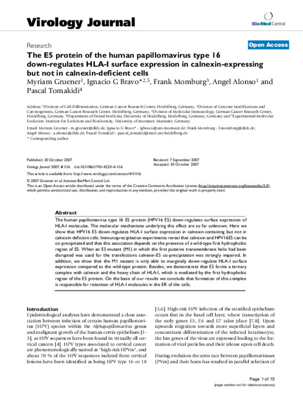 (PDF) The E5 protein of the human papillomavirus type 16 down-regulates ...