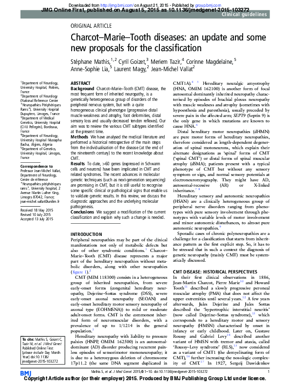 (PDF) Charcot–Marie–Tooth diseases: an update and some new proposals ...