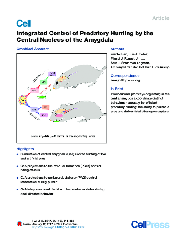 (PDF) Integrated Control of Predatory Hunting by the Central Nucleus of ...