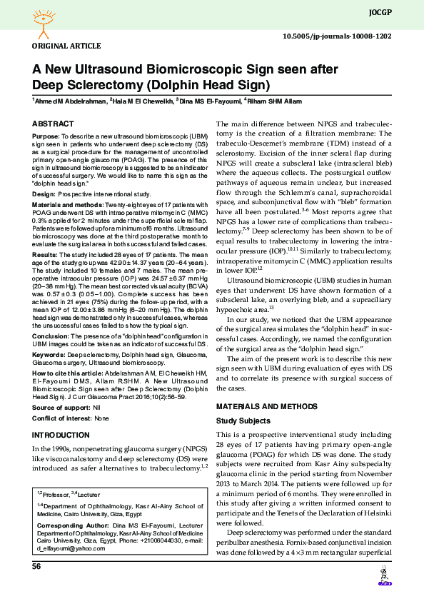 (PDF) A New Ultrasound Biomicroscopic Sign seen after Deep Sclerectomy ...