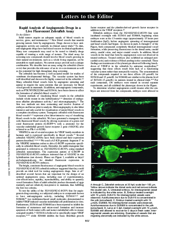 (PDF) Rapid Analysis of Angiogenesis Drugs in a Live Fluorescent ...