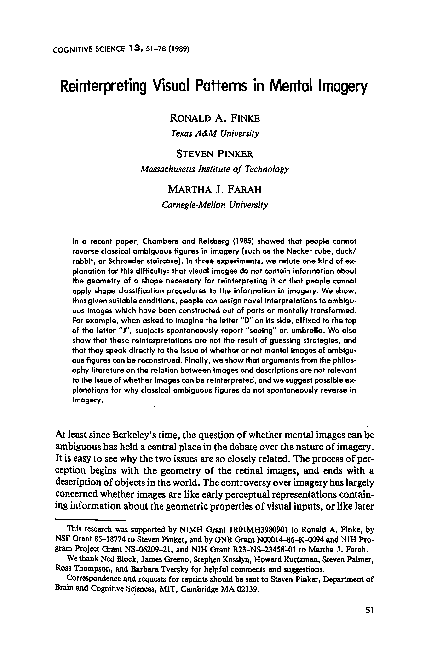 (PDF) Reinterpreting Visual Patterns in Mental Imagery