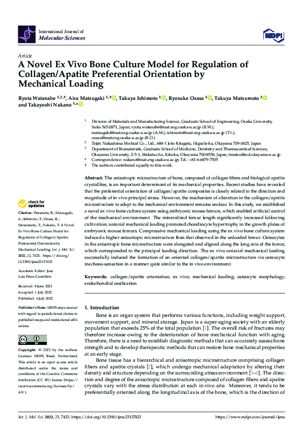 (PDF) A Novel Ex Vivo Bone Culture Model for Regulation of Collagen ...