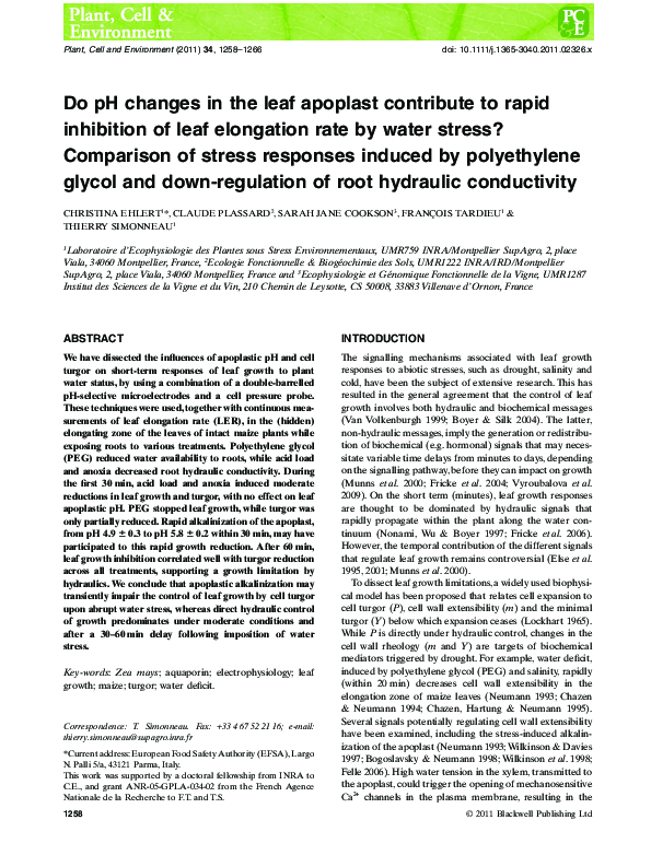 (PDF) Do pH changes in the leaf apoplast contribute to rapid inhibition ...