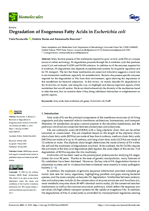 (PDF) Degradation of Exogenous Fatty Acids in Escherichia coli