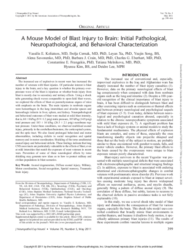 (PDF) A Mouse Model of Blast Injury to Brain: Initial Pathological ...