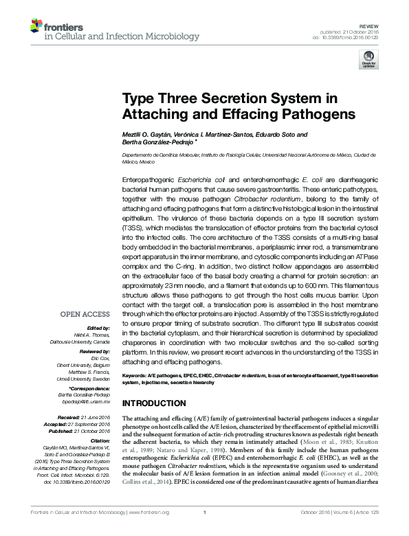 (PDF) Type Three Secretion System in Attaching and Effacing Pathogens