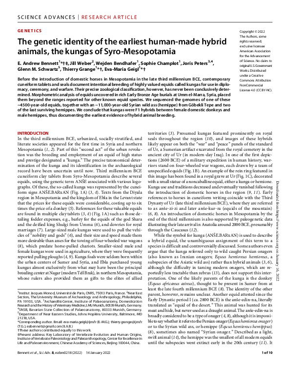 (PDF) The genetic identity of the earliest human-made hybrid animals ...
