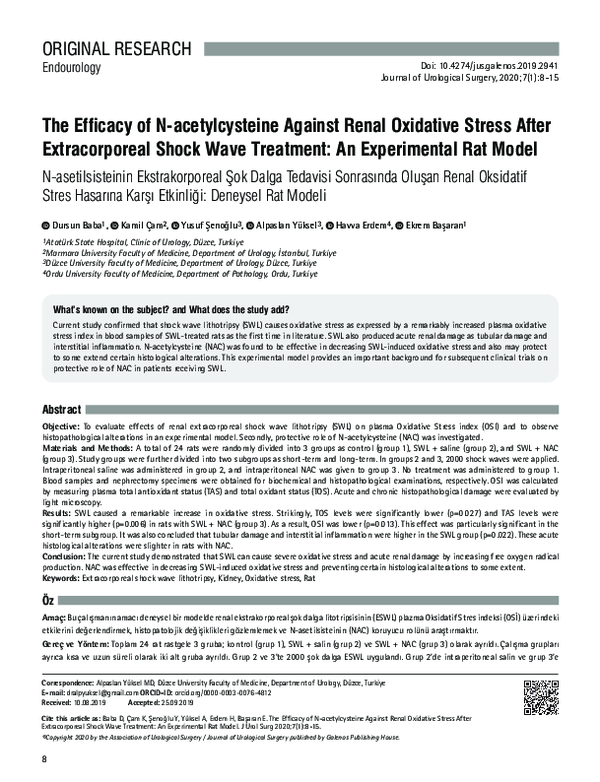 (PDF) The efficacy of N-acetylcysteine against renal oxidative stress ...