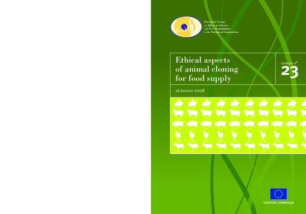 (PDF) European Group on Ethics in Science and New Technologies to the ...