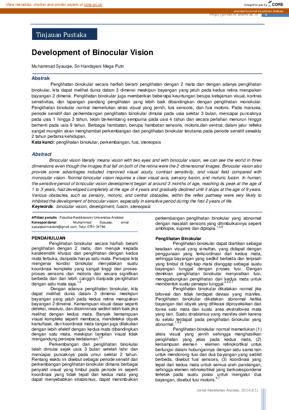 (PDF) The Development of Binocular Vision