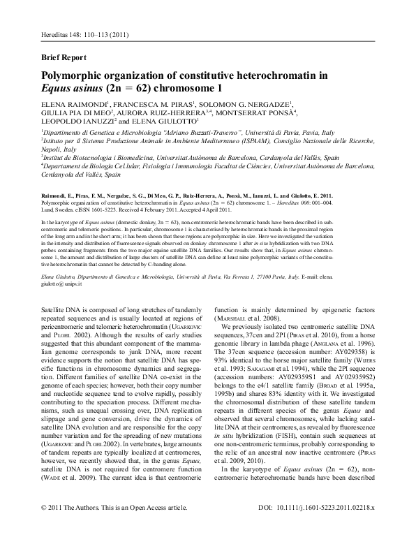 (PDF) Polymorphic organization of constitutive heterochromatin in Equus ...