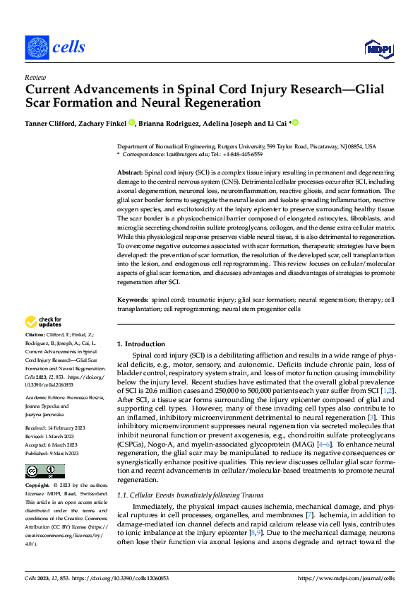 (PDF) Current Advancements in Spinal Cord Injury Research—Glial Scar ...