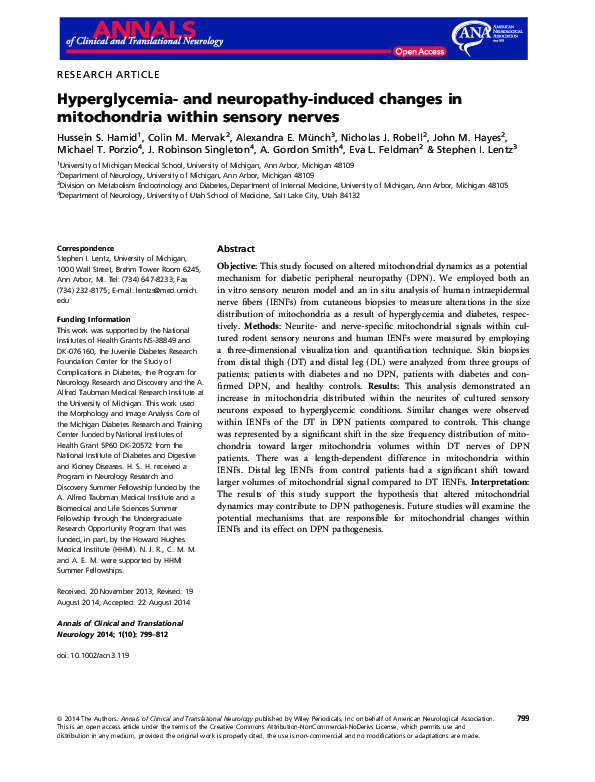 (PDF) Hyperglycemia‐ and neuropathy‐induced changes in mitochondria ...
