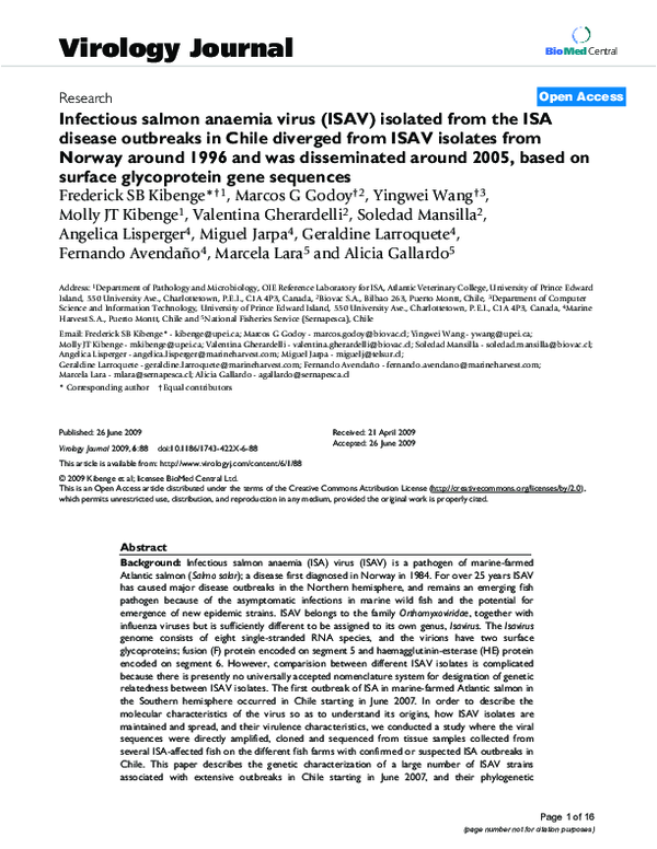 Infectious salmon anaemia virus (ISAV) isolated from the ISA disease ...