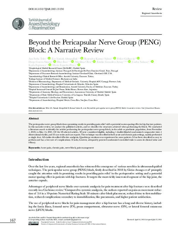 (PDF) Beyond the Pericapsular Nerve Group (PENG) Block: A Narrative Review