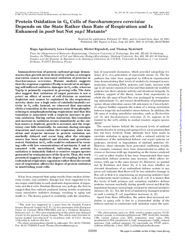 (PDF) Protein Oxidation in G0 Cells of Saccharomyces cerevisiae Depends ...
