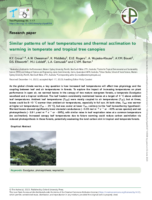 (PDF) Similar patterns of leaf temperatures and thermal acclimation to ...