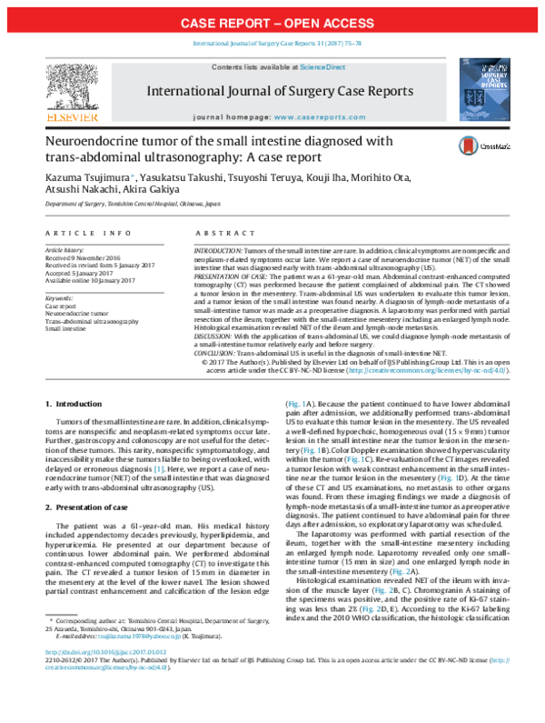 (PDF) Neuroendocrine tumor of the small intestine diagnosed with trans ...