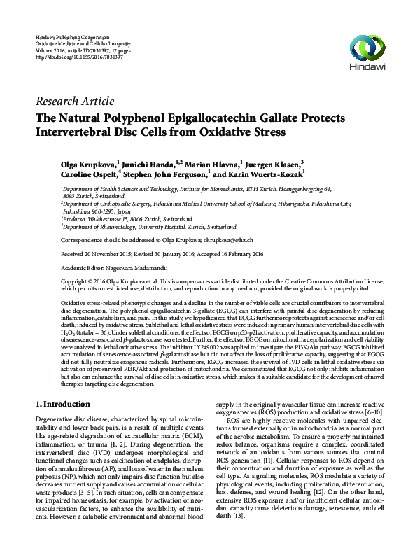 (PDF) The Natural Polyphenol Epigallocatechin Gallate Protects ...