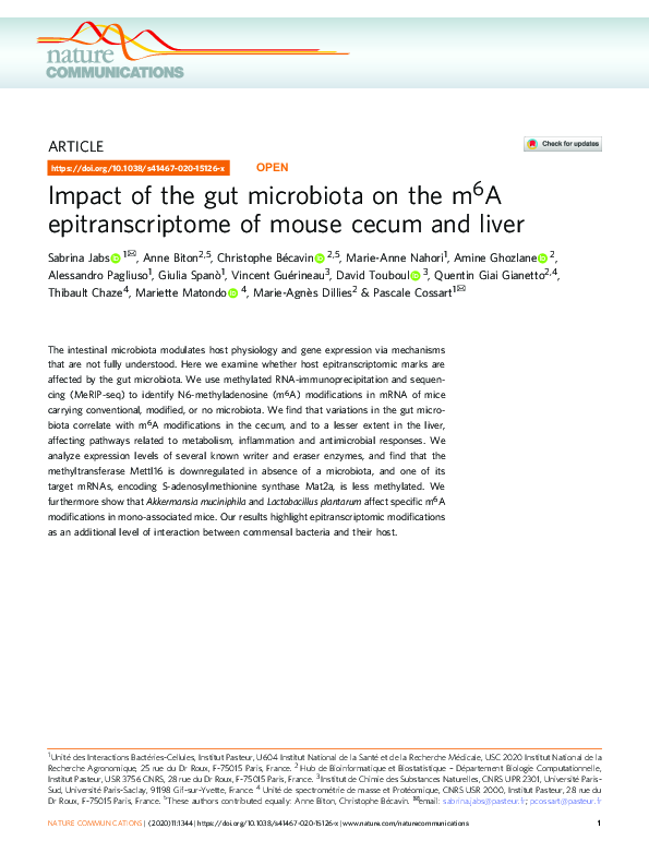 (PDF) Impact of the gut microbiota on the m6A epitranscriptome of mouse ...