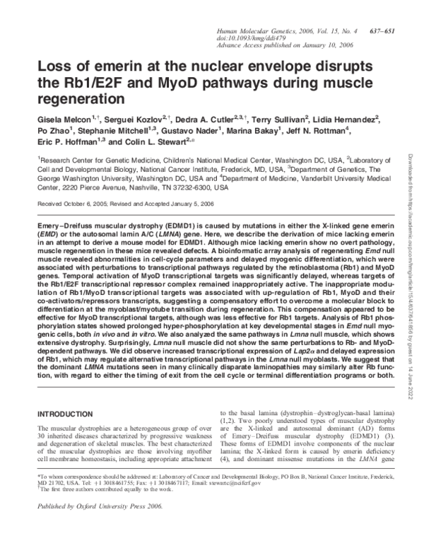 (PDF) Loss of emerin at the nuclear envelope disrupts the Rb1/E2F and ...