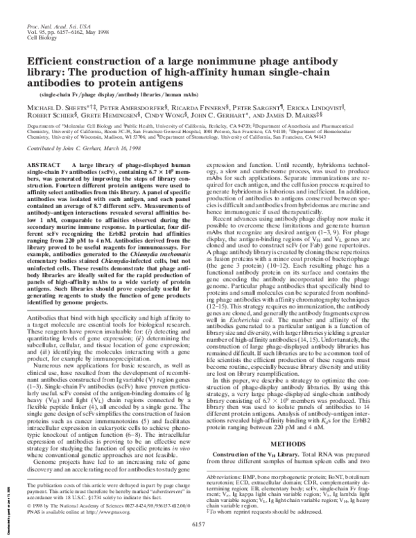 (PDF) Efficient construction of a large nonimmune phage antibody ...
