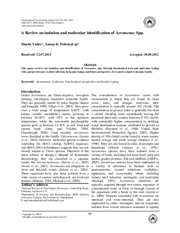 (PDF) A Review on isolation and molecular identification of Aeromonas Spp