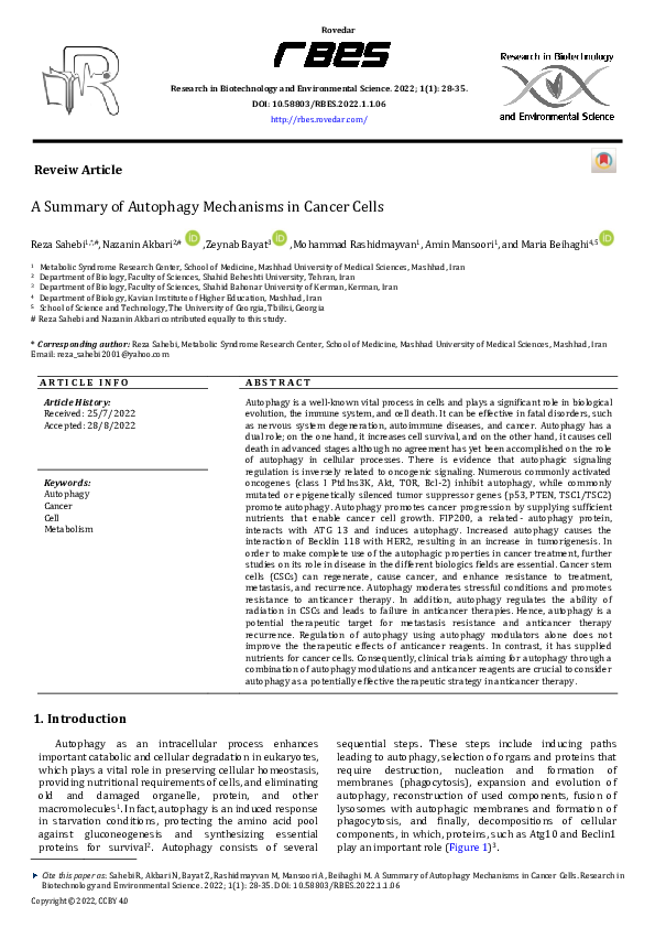 (PDF) A Summary of Autophagy Mechanisms in Cancer Cells