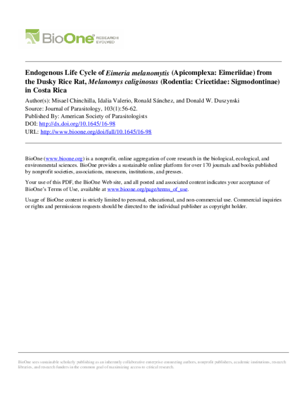 (PDF) Endogenous Life Cycle ofEimeria melanomytis(Apicomplexa ...