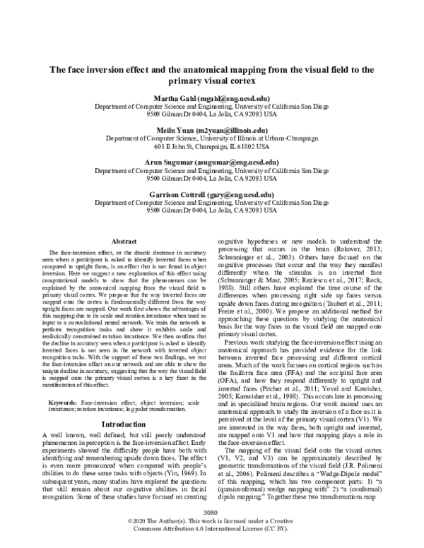 (PDF) The face inversion effect and the anatomical mapping from the ...