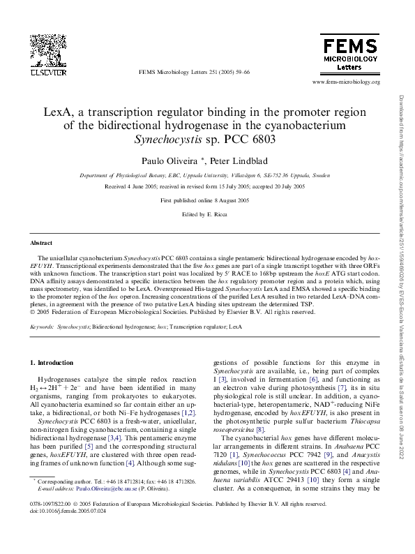 (PDF) LexA, a transcription regulator binding in the promoter region of ...