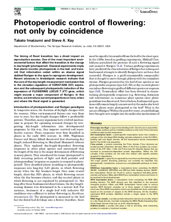 (PDF) Photoperiodic control of flowering: not only by coincidence