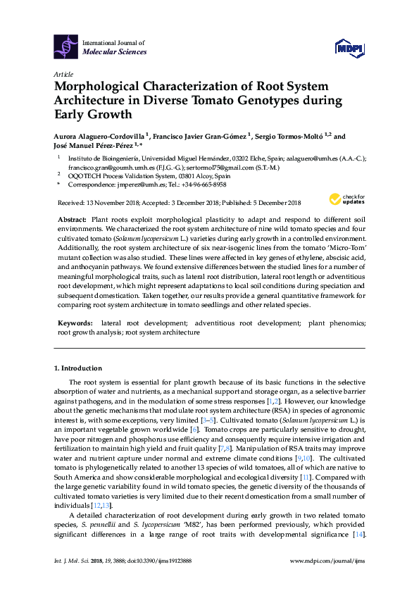 (PDF) Morphological Characterization of Root System Architecture in ...