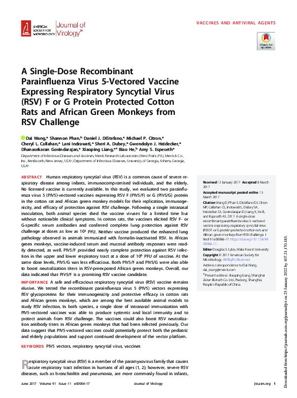 (PDF) A Single Dose Recombinant PIV5 Expressing Respiratory Syncytial ...