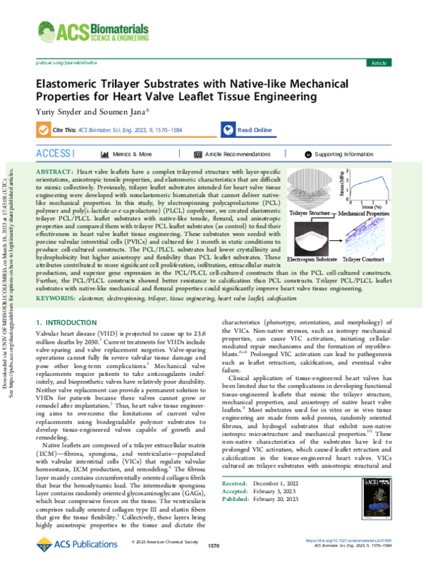 (PDF) Elastomeric Trilayer Substrates with Native-like Mechanical ...