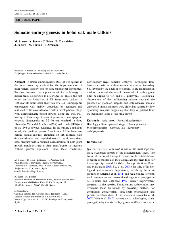 Somatic embryogenesis in holm oak male catkins
