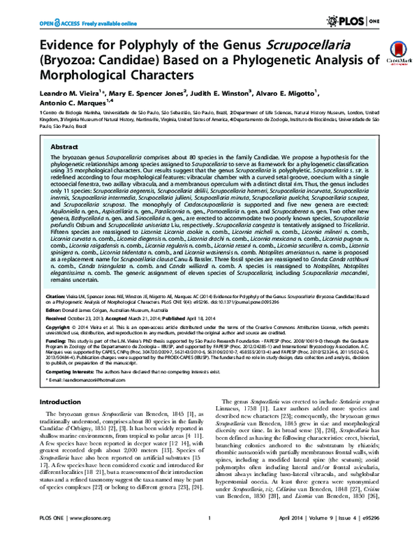 (PDF) Evidence for Polyphyly of the Genus Scrupocellaria (Bryozoa ...