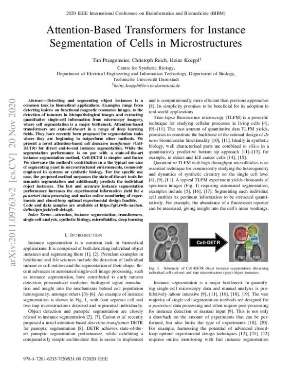 (PDF) Attention-Based Transformers for Instance Segmentation of Cells ...