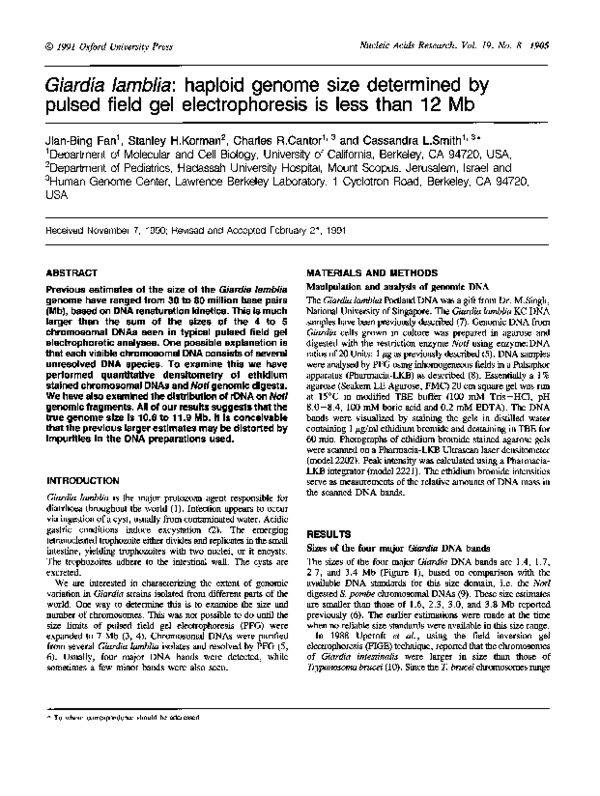 Giardia lamblia : haploid genome size determined by pulsed field gel electrophoresis is less than 12 Mb