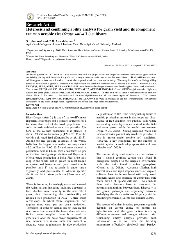 (PDF) Heterosis and combining ability analysis for grain yield and its ...
