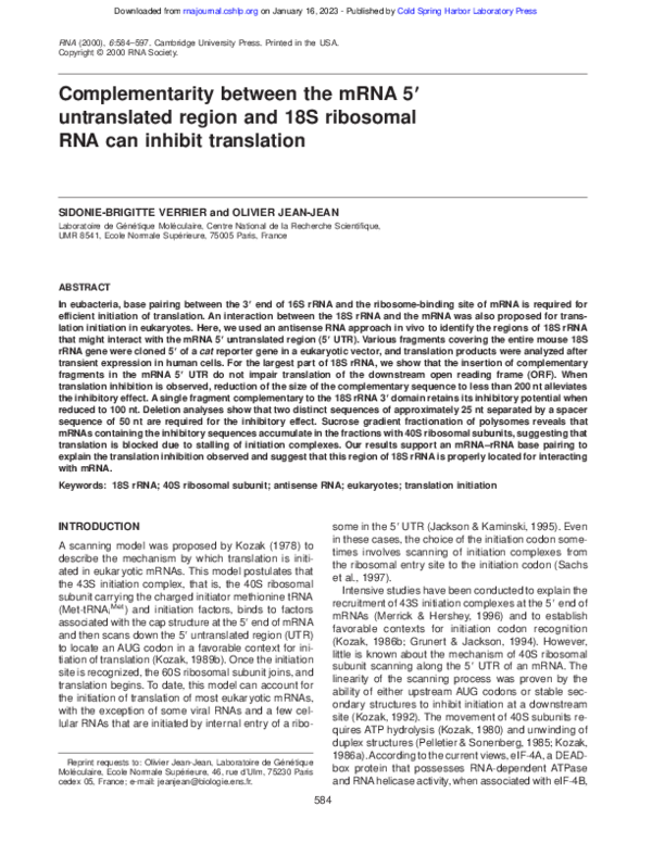 (PDF) Complementarity between the mRNA 5′ untranslated region and 18S ...